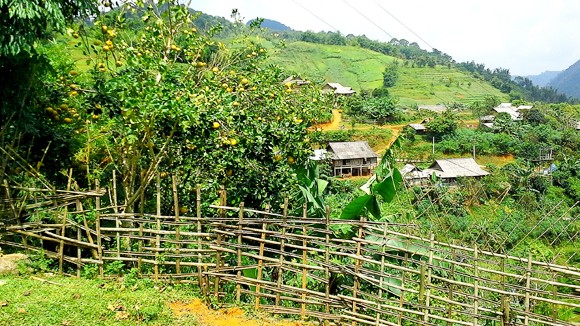 Vườn địa đàng lưng núi Pù Bin ảnh 1