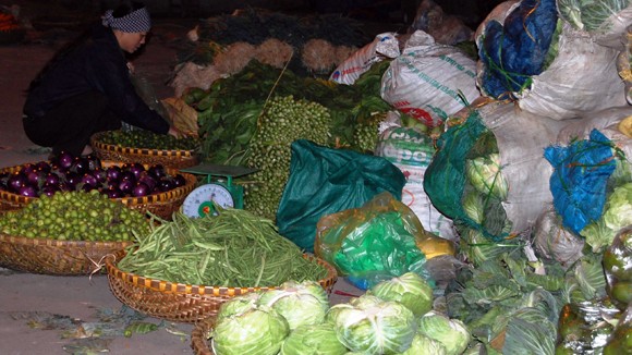 An toàn thực phẩm rau quả bị bỏ ngỏ ảnh 1