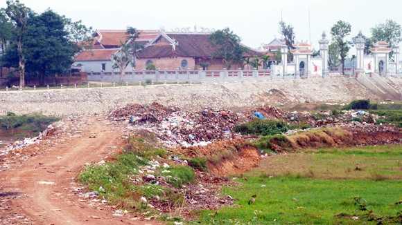 “Bài học” ốc bươu vàng ảnh 2