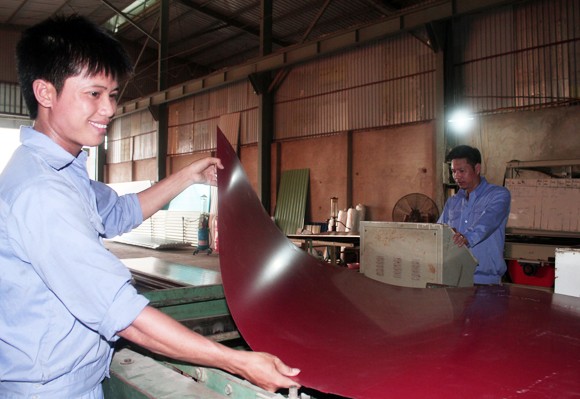 Phát huy dân chủ, tăng cường kỷ luật, kỷ cương ảnh 2