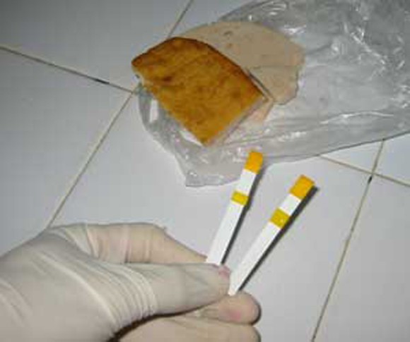 Hóa chất “thúc” giá đỗ là độc tố cấm dùng ảnh 2