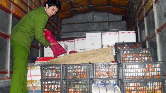 Một đêm “săn” hoa quả Trung Quốc nhập lậu ảnh 1