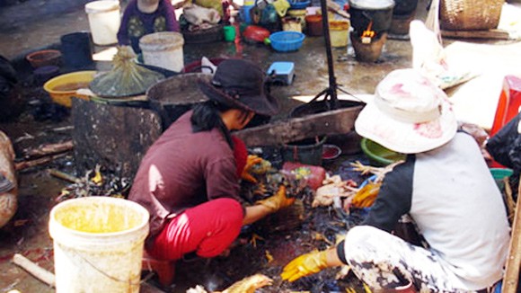 Ngồi… vặt lông cũng thu bạc triệu ảnh 1