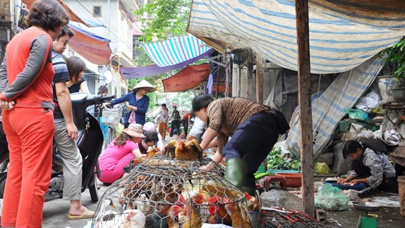 Mối nguy chủng virus độc lực cao ảnh 1