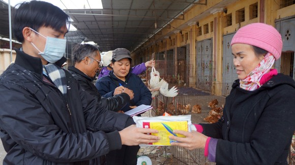 Sẵn sàng nâng cấp độ ứng phó với cúm A/H7N9 ảnh 1