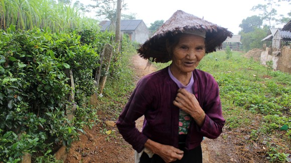 Bí ẩn ngôi mộ đá chưa được giải mã ở Mường Thàng và cổ vật là 12 bông hoa bằng vàng ảnh 1