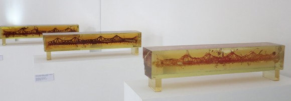 Hóa thạch để “sống dậy” tình yêu Hà Nội ảnh 1