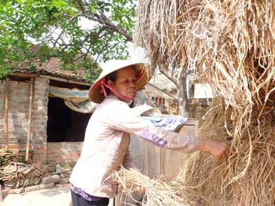 Chuyện của một người đàn bà đi hỏi vợ cho chồng và sức mạnh của lòng nhân ái ảnh 2