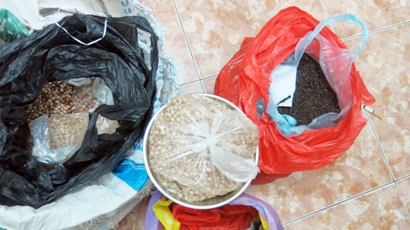 Kiếm lời từ thuốc Nam “rởm” ảnh 1
