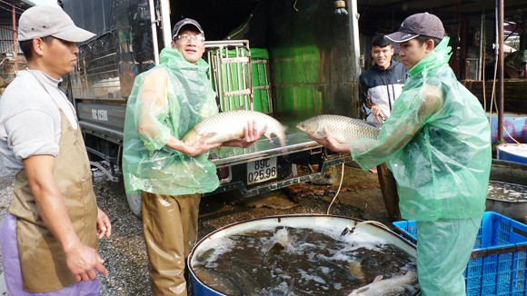 Chốn mưu sinh của hàng chục chàng trai nghiện hút khao khát rũ bỏ quá khứ ảnh 2
