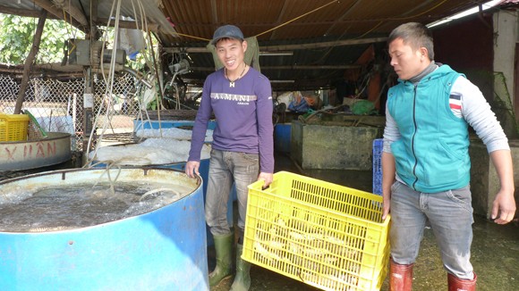 Chốn mưu sinh của hàng chục chàng trai nghiện hút khao khát rũ bỏ quá khứ ảnh 1