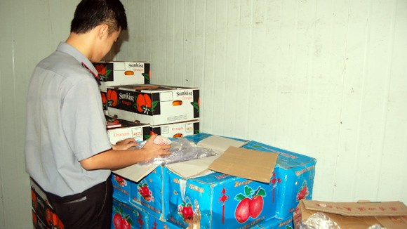 Hàng trăm tấn hoa quả Trung Quốc nhiễm thuốc vượt quy định ảnh 2