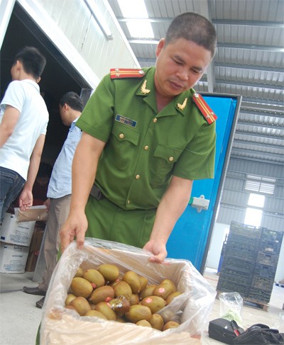 Hàng trăm tấn hoa quả Trung Quốc nhiễm thuốc vượt quy định ảnh 1
