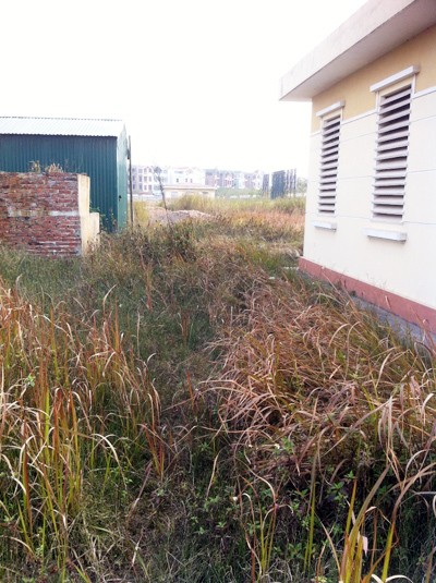 Nguy hại tội phạm trộm cắp thiết bị trạm biến áp ảnh 2