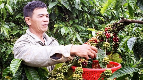 Tiếp sức cho doanh nghiệp ảnh 1