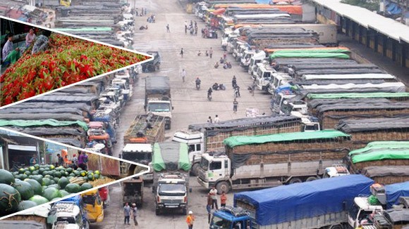 Mở rộng thị trường nông sản, khó khăn nhưng chắc thắng ảnh 1