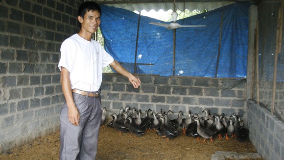 Chuyện của người nông dân bắt vịt trời về nuôi, trở thành triệu phú ảnh 1