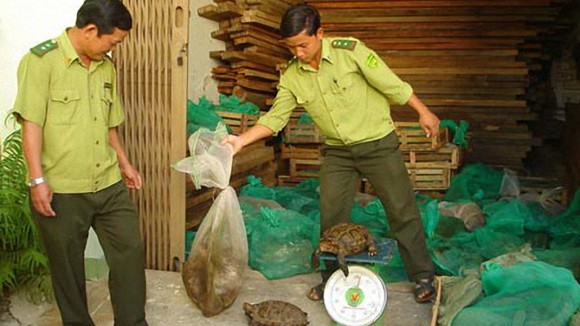 Chỉ còn 11 ngành, nghề bị cấm đầu tư, kinh doanh ảnh 1