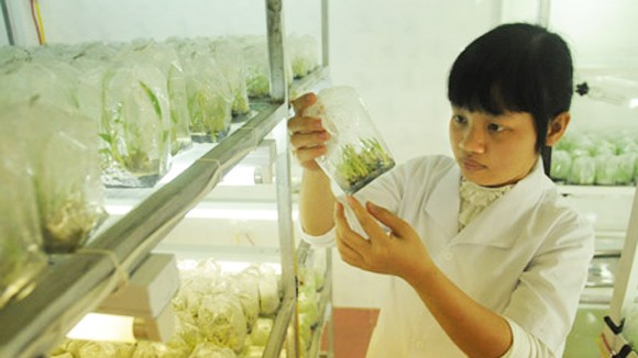 Nghèo còn chơi sang ảnh 1