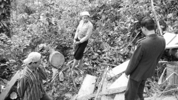 Chuyện những người giữ rừng Ngọc Sơn - Ngổ Luông: Rừng xanh thấm máu đỏ ảnh 1