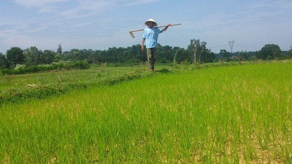 Chống hạn giữa mùa mưa bão ảnh 1