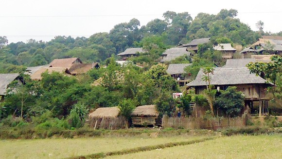 Nốt trầm giữa bản nhạc cao nguyên ảnh 1