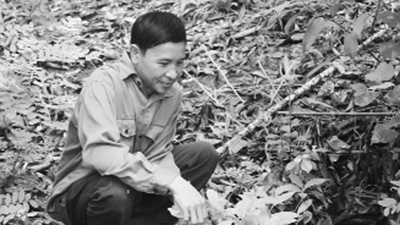 Kỳ nhân trong thung lũng độc xà ảnh 1