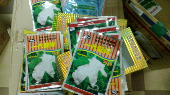 Hạt rau cải, su hào cũng phải… nhập khẩu ảnh 1
