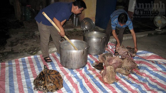 Cận cảnh vụ xẻ thịt hổ dã man trong bóng tối ảnh 10