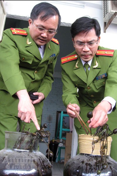 Toàn cảnh vụ "đột kích" cửa hàng rượu ngâm cây thuốc phiện ảnh 4