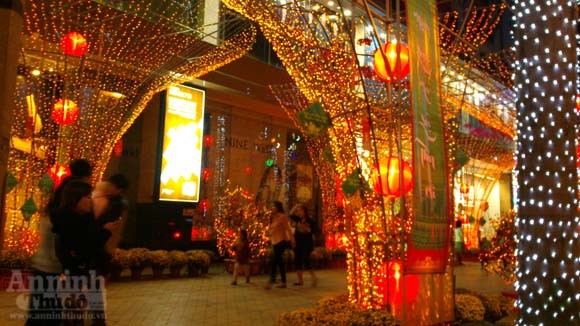 Hà Nội "khoác áo mới"... lung linh đón xuân ảnh 11