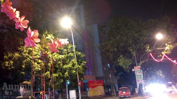 Hà Nội "khoác áo mới"... lung linh đón xuân ảnh 10