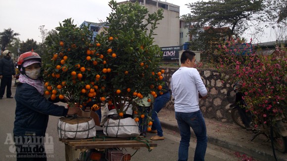 Nhộn nhịp chợ Tết ngày cuối năm ảnh 4