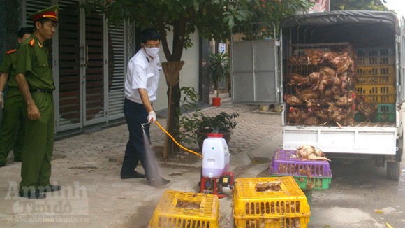 Hình ảnh gà chết... cố "lết" lên bàn nhậu ở Thủ đô ảnh 8