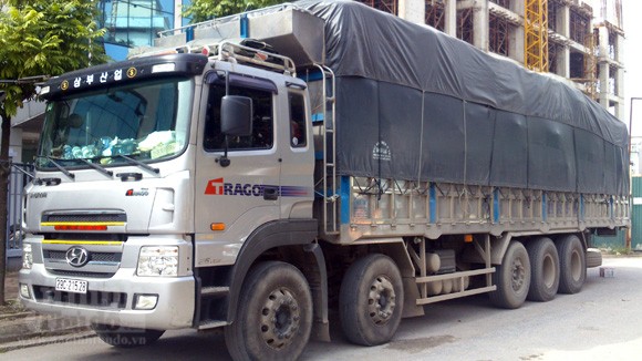 Ngăn chặn vụ tung 80.000 lọ hóa chất "thúc" giá đỗ lớn nhanh đi khắp Việt Nam ảnh 1