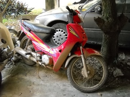 Hai tên cướp chuyên giật đồ của phụ nữ ảnh 3