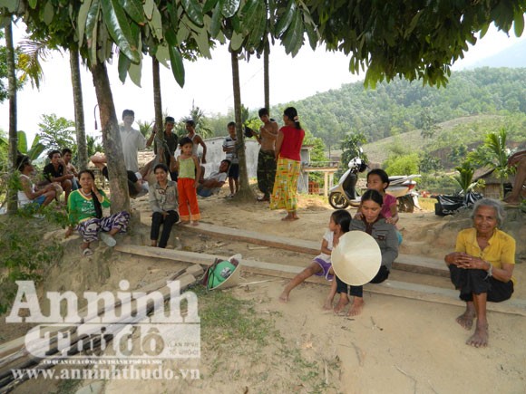 Cả làng gặp "đại họa" vì thuốc diệt cỏ ảnh 2