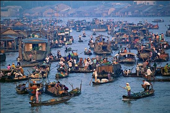 Vietrantour giảm giá tất cả tour nhân sinh nhật 10 tuổi ảnh 1