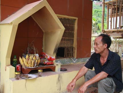 Thần bí chuyện cả xóm vái lạy "bà rắn linh thiêng" ảnh 5