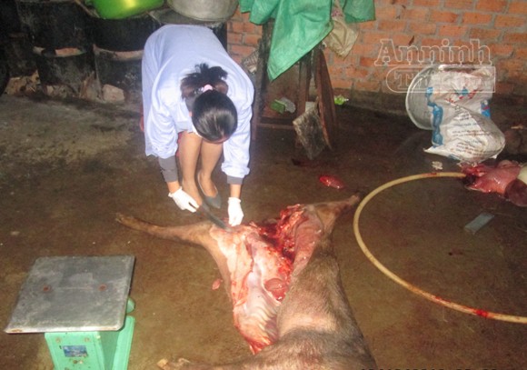 Kinh hãi điểm thu mua, xẻ thịt lợn bệnh chết ảnh 2