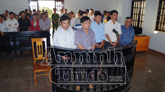 Giám đốc phá rừng, thiệt hại 198 tỷ đồng ảnh 1