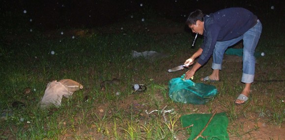 Động vật hoang dã về rừng trong đêm ảnh 1