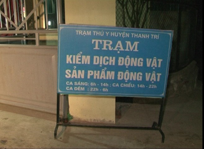 Lò mổ "mua" vé kiểm dịch, vô tư xả thải ra sông Hồng ảnh 2