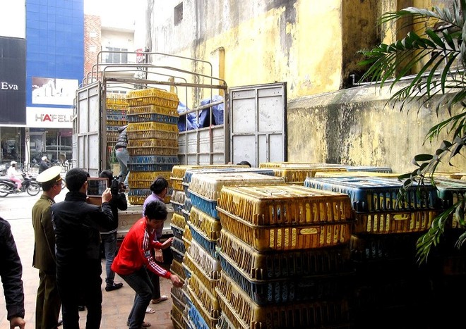 Nguy trang tinh vi, vận chuyển hàng trăm chim trời về Hà Nội tiêu thụ ảnh 1