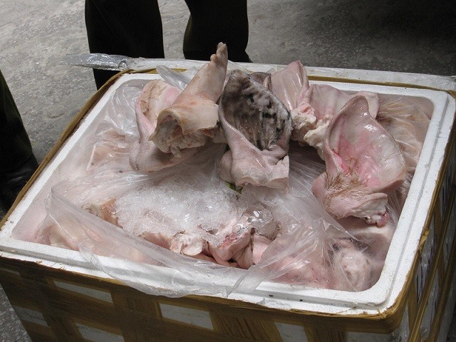 Phá vụ vận chuyển tai lợn thối thu mua từ Hà Nội đến Bắc Giang ảnh 3