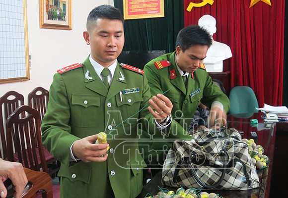 Pháo cấm tràn về Việt Nam… đón Tết ảnh 4