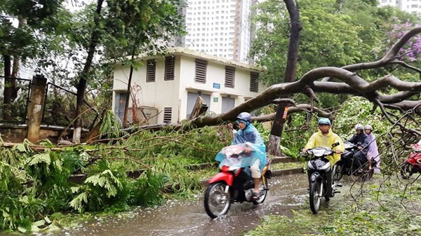 Cảnh sát giao thông Hà Nội cùng nhân dân chống bão số 1 ảnh 2