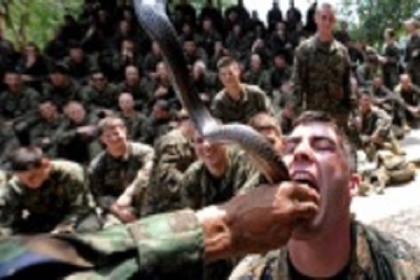 Các binh sĩ uống máu rắn khi tham gia huấn luyện