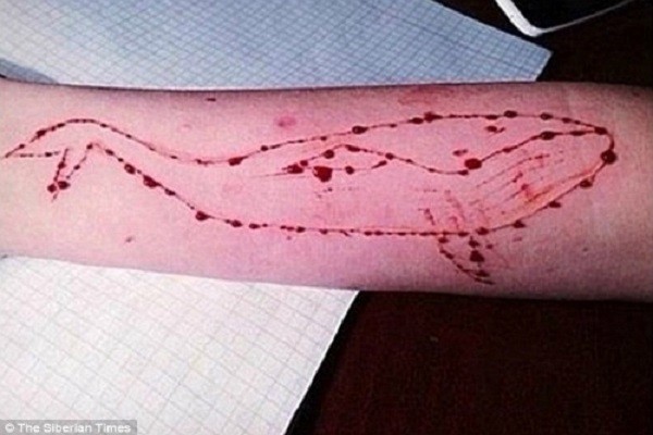 Cô gái tự tử sau khi chơi trò "Thách thức cá voi xanh" ảnh 1