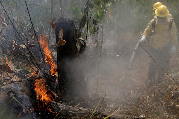 Các lãnh đạo G7 cam kết góp 20 triệu euro chữa cháy rừng Amazon ảnh 1